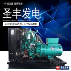 玉柴YC2115D 20KW柴油發電機組